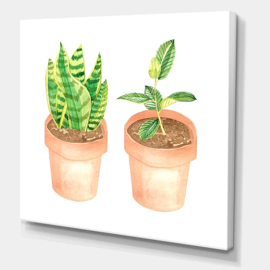 Designart - Sansevieria & Ficus Indoor Green Home House Plants